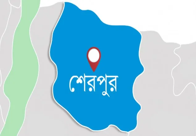 শেরপুরে আগ্নেয়াস্ত্র ও গুলিসহ ২ যুবক আটক
