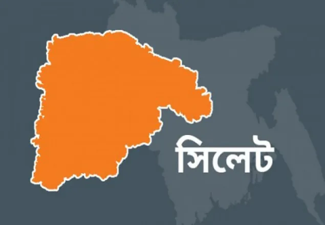 সিলেটে চিকিৎসার নামে তরুণীকে নিপীড়ন!