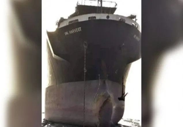 করোনাভাইরাস : চট্টগ্রামে জাহাজে আটকা ১৭ চীনা