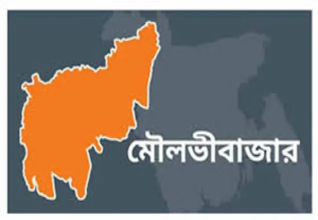 মৌলভীবাজারে ৫০০ হাঁসের মৃত্যু!