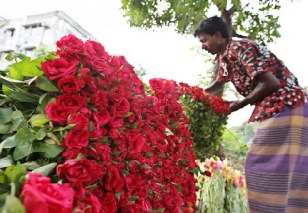 ভালোবাসা দিবসে ৩৫ কোটি টাকার ফুল বাজারজাত
