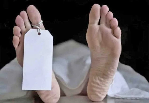 সাটুরিয়ায় বিজিবি সদস্যের স্ত্রীর ঝুলন্ত লাশ উদ্ধার