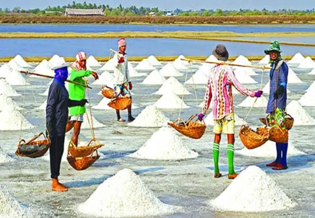 লবণ চাষিদের মাথায় হাত