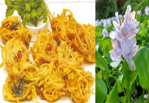 কচুরিফুলের পাকোড়া!   