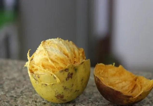 বেল শরীরের জন্য কতটা উপকারী