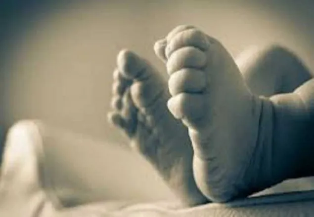 হাতিরঝিলে ময়লার বাক্সের উপর নবজাতকের লাশ