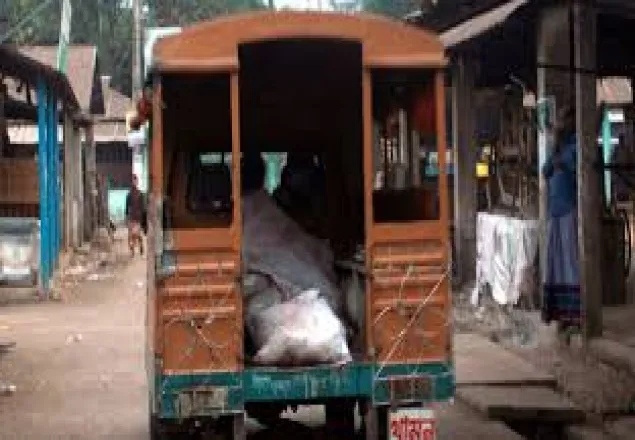 গরুর পচা মাংস জব্দ