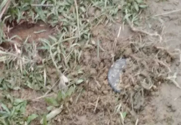 মিয়ানমারের পুঁতে রাখা মাইন বিস্ফোরণে বাংলাদেশি আহত