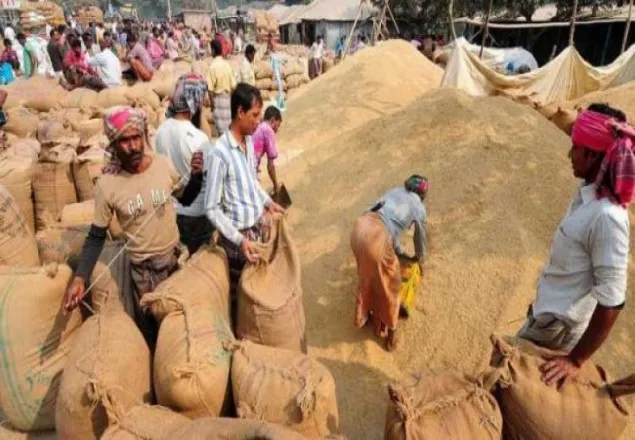 আমন সংগ্রহের সময় বাড়ল ৬ দিন