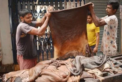 এবারও চামড়ার বাজারে ধস, বিপাকে ব্যবসায়ীরা