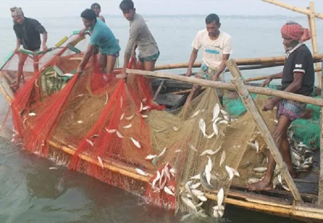 পদ্মা-মেঘনায় দুই মাস মাছ ধরা নিষিদ্ধ