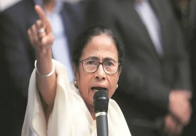 দাঙ্গা নয়, দিল্লিতে পরিকল্পিত গণহত্যা চালিয়েছে : মমতা (ভিডিও)
