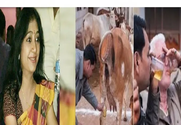 গো-মূত্র, গোবর করোনা প্রতিরোধ করতে পারে