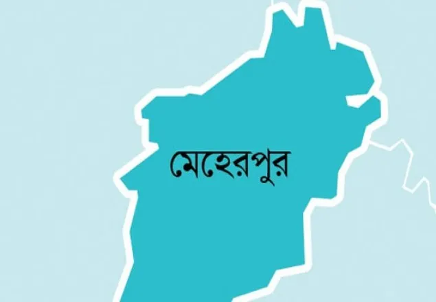 বাঁশবাগান থেকে গৃহবধূর লাশ উদ্ধার 