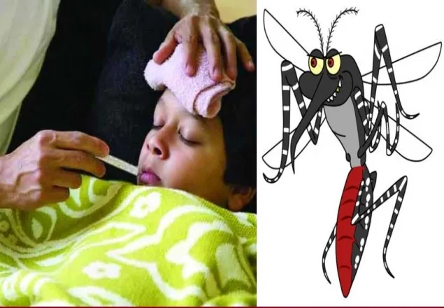 বাড়ছে ডেঙ্গুর প্রকোপও 