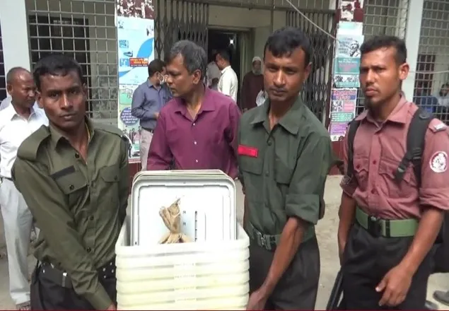 গাইবান্ধা-৩ আসনে উপ-নির্বাচনে ভোট কেন্দ্রে নির্বাচনী সামগ্রী প্রেরণ