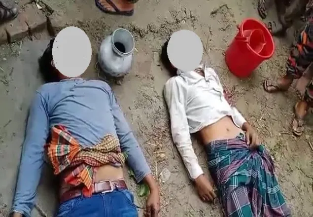 শৈলকুপা নসিমন নিয়ন্ত্রন হারিয়ে ২ জন নিহত