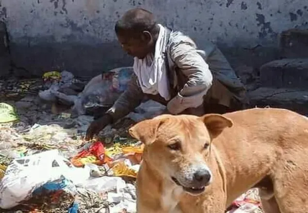 আবর্জনার স্তুপে কুকুরের সঙ্গে পাগলের খাওয়া