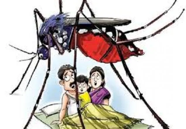 খাল পরিষ্কার না করে মশার ওষুধ ছিটিয়ে লাভ হবে না