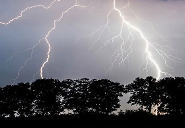 মহেশখালীতে বজ্রপাতে তিন শ্রমিক নিহত