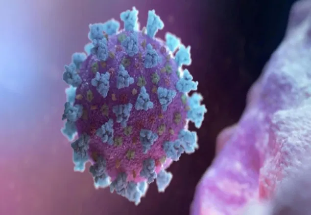 করোনা এবার কেড়ে নিল পাকিস্তানি ক্রিকেটারের প্রাণ