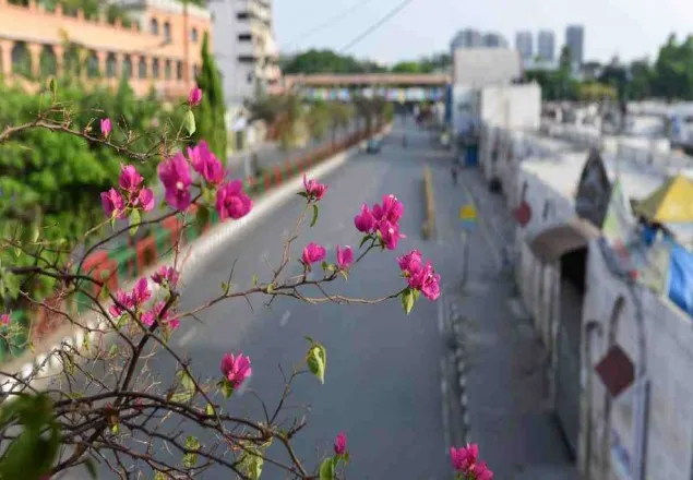 ঢাকার বাতাস এখনও ‘অস্বাস্থ্যকর’