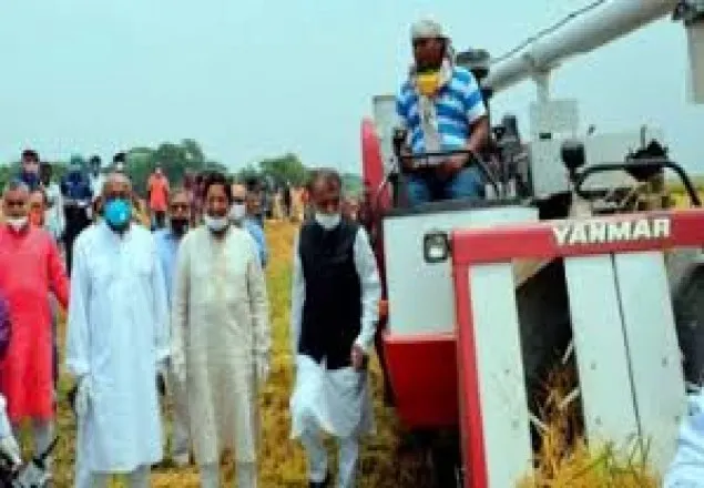 হাওরের ৪৪% ধান কৃষকের ঘরে উঠেছে: কৃষিমন্ত্রী