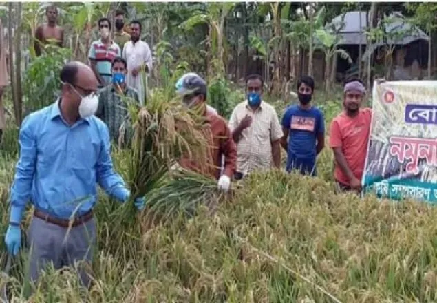 কৃষকদের উৎসাহ যোগাতে নিজে ধান কাটলেন মাগুরা জেলা প্রশাসক