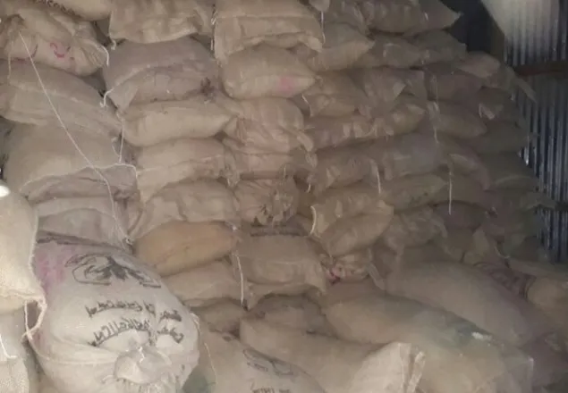 চাঁদপুরে চুরি হওয়া ১২০০ বস্তা চালই যুবলীগ নেতার গোডাউনে