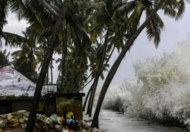 ঘূর্ণিঝড় আম্ফানের প্রভাবে গাছ পড়ে বৃদ্ধের মৃত্যু