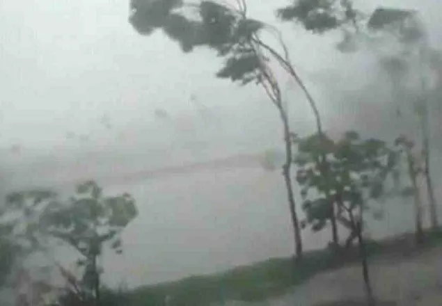 ‘আম্পান’: পিরোজপুরে ৩ জনের মৃত্যু