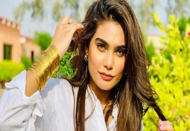 বিমান দুর্ঘনায় পাকিস্তানি মডেল জারা আবিদের মৃত্যু