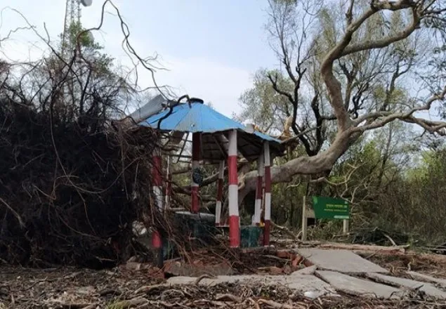 আম্পানে সুন্দরবন পূর্ব বিভাগের ১ কোটি ৬৭ লাখ টাকার ক্ষয়ক্ষতি