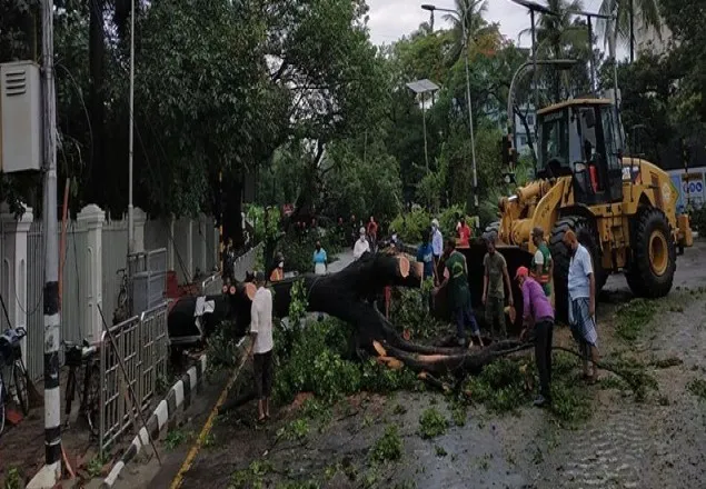 ঝড়-বৃষ্টিতে রাজধানীর বেশ কিছু স্থানে গাছ উপড়ে পড়ে যান চলাচল বন্ধ