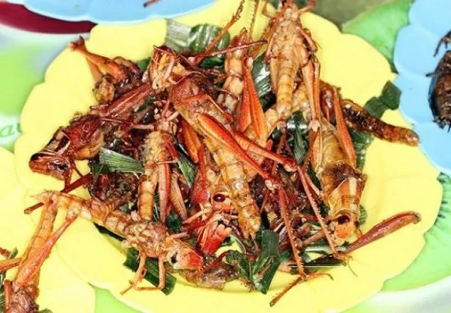 আতঙ্ক ভুলে নেট দুনিয়ায় ভাইরাল পঙ্গপাল রেসিপি!
