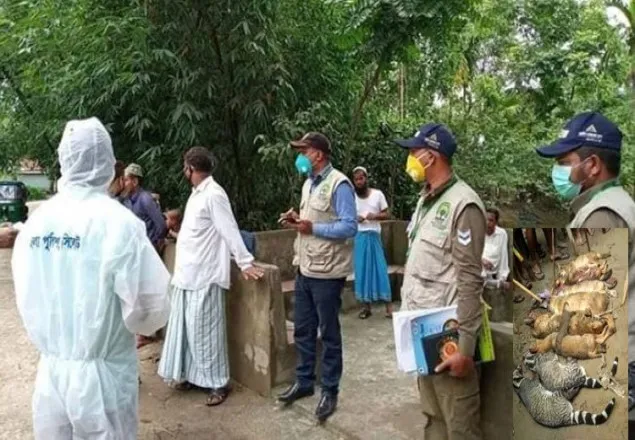 ৯টি বন্যপ্রাণিকে পিটিয়ে হত্যার ঘটনায় ১০ জনের বিরুদ্ধে মামলা