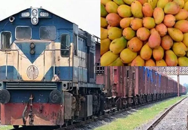 আম পরিবহনে শুক্রবার থেকে বিশেষ ট্রেন