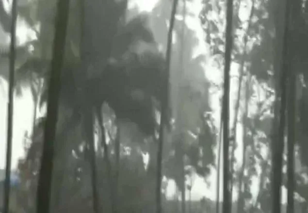মহারাষ্ট্রে আঘাত হেনেছে নিসর্গ