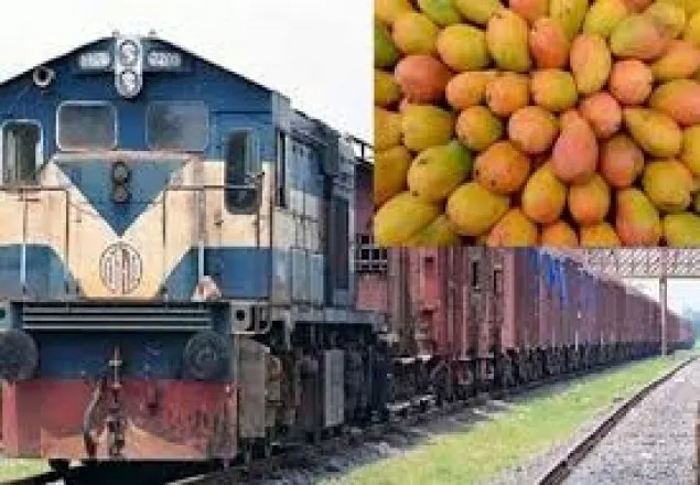 ৪ জুন থেকে আম পরিবহন করবে ম্যাংগো স্পেশাল ট্রেন
