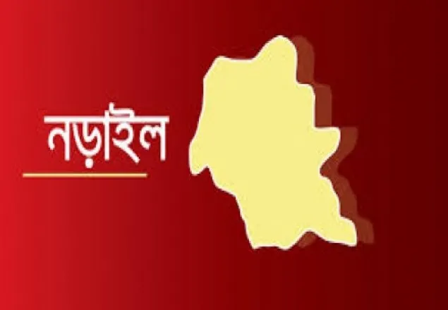 নড়াইলের প্রতিপক্ষের হামলায় চাচা-ভাতিজাসহ নিহত ৩
