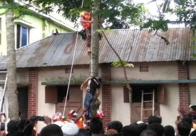 মাগুরার শ্রীপুরে আম পাড়তে গিয়ে বিদ্যুতের তারে জড়িয়ে যুবকের মৃত্যু