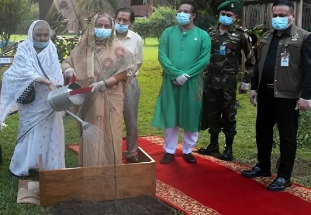 নেতাকর্মীদের অন্তত ৩টি করে গাছ লাগানোর নির্দেশ শেখ হাসিনার