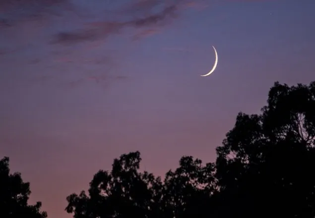 চাঁদ দেখা কমিটির বৈঠক সন্ধ্যায়