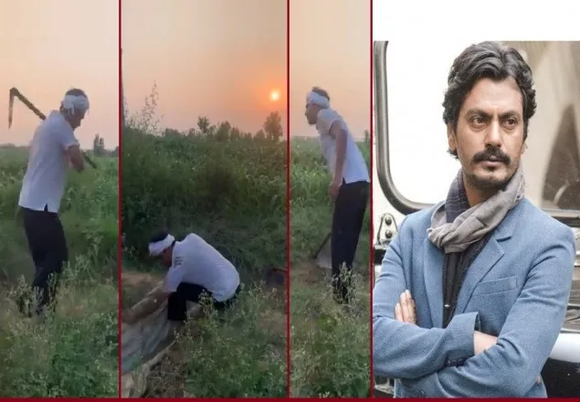 নিজের গ্রামে ফিরে মাঠে ফের চাষ করছেন নওয়াজউদ্দিন সিদ্দিকী!