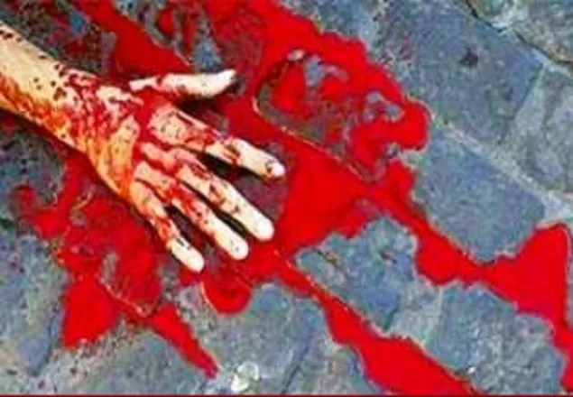 নারায়ণগঞ্জে ট্রাকচাপায় ঢাবির নিরাপত্তাকর্মী নিহত