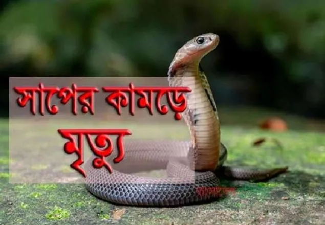 ঝিনাইদহে সাপের কামড়ে ৭ম শ্রেনীর স্কুল ছাত্রের মৃত্যু
