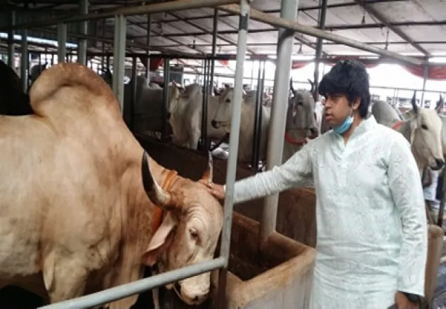 ঢাকা-না.গঞ্জ-গাজীপুর-চট্টগ্রামে পশুর হাট না বসানোর পরামর্শ
