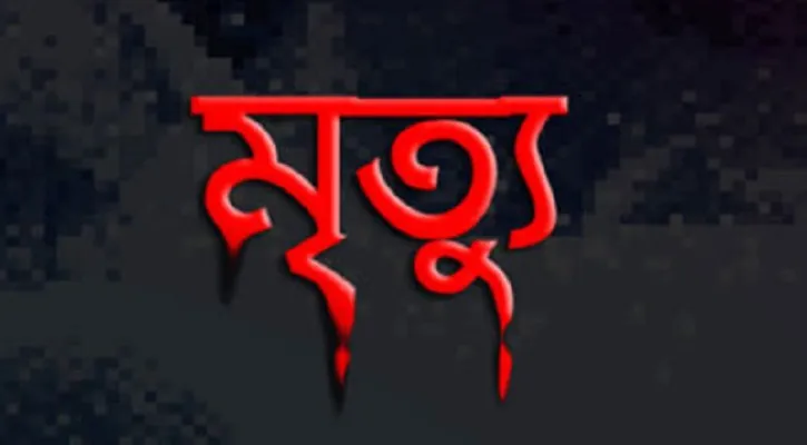 নোয়াখালীতে বিদ্যুৎস্পৃষ্টে সাবেক ভাইস চেয়ারম্যানের মৃত্যু