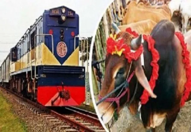 ট্রেনে পশু আনতে প্রতি কিলোতে খরচ মাত্র ২০ টাকা