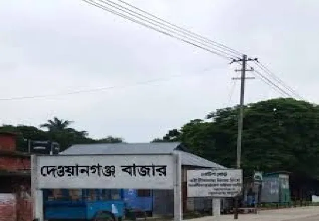 বন্যার পানিতে ভেসে গেলেন মুক্তিযোদ্ধা, লাশ মিলল আখ ক্ষেতে